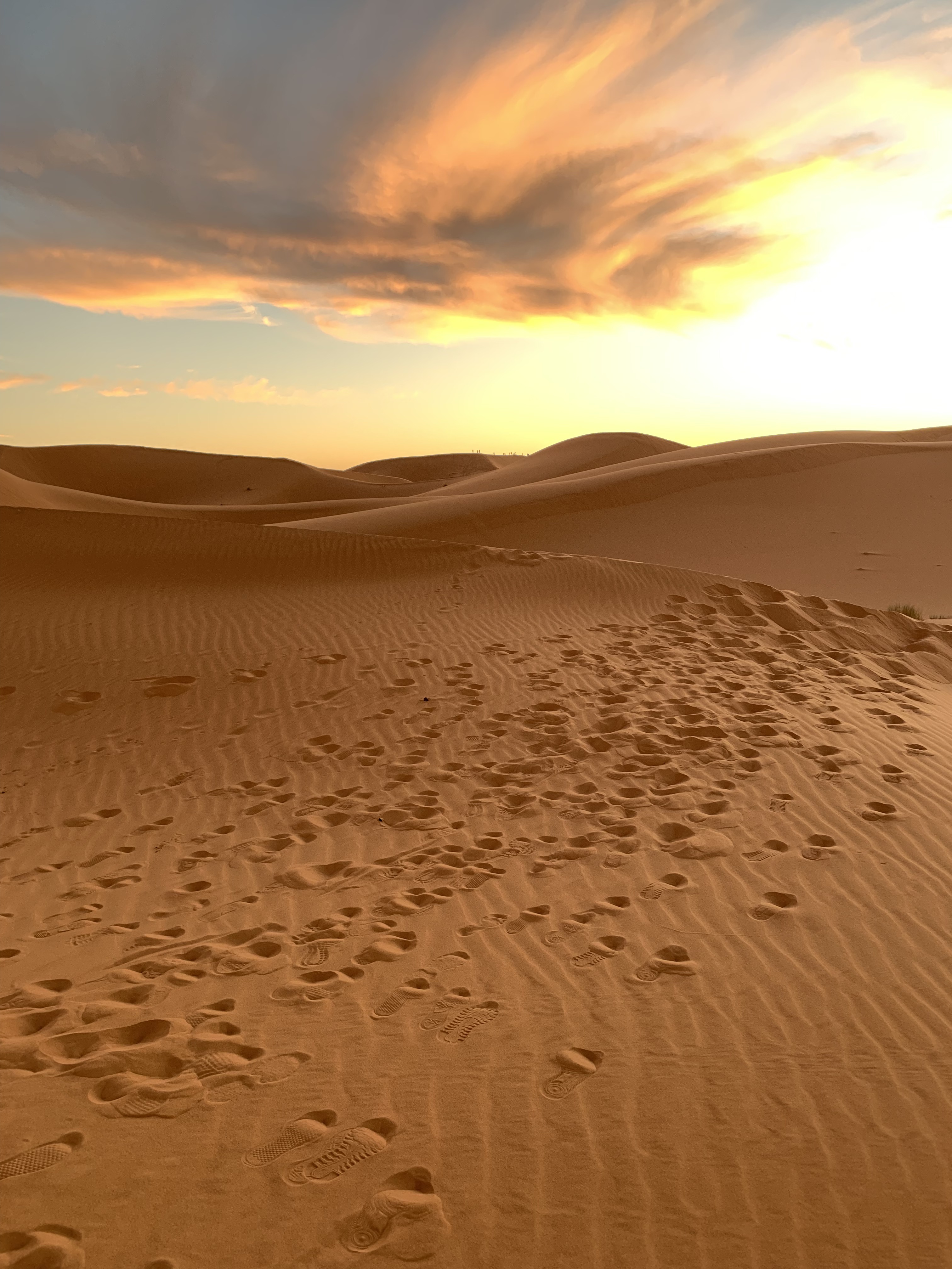 Escena del viaje organizado por Duna Vibe